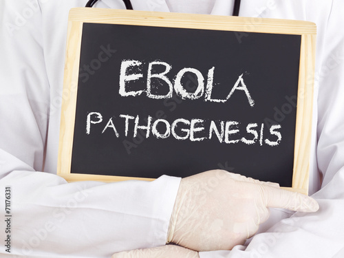 Doctor shows information: Ebola pathogenesis photo