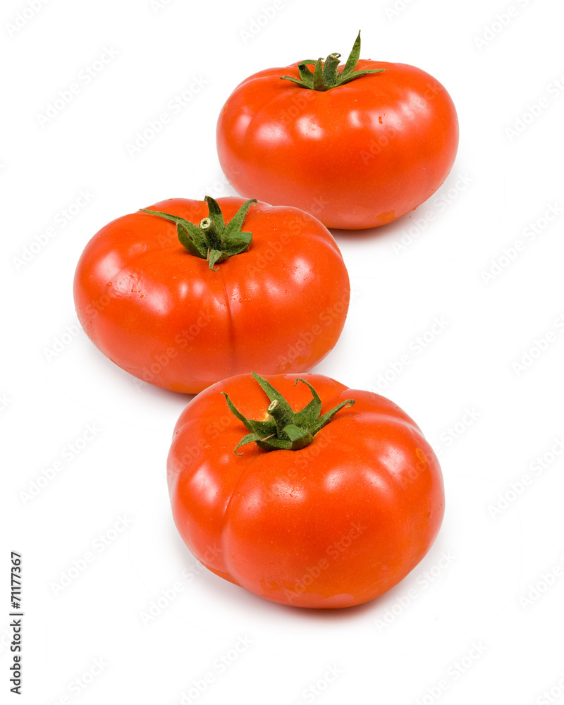 tomato on white background tomato on white background
