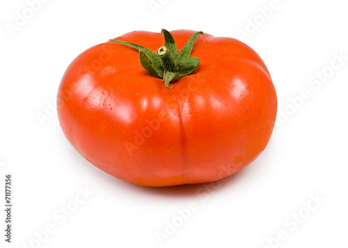 tomato on white background