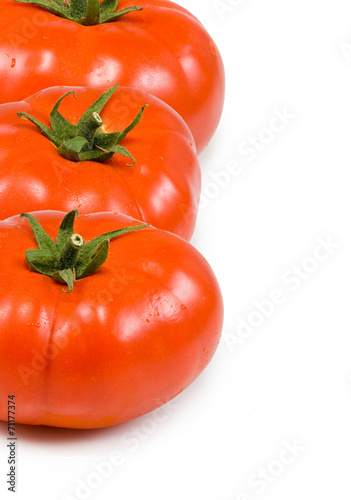 tomato on white background