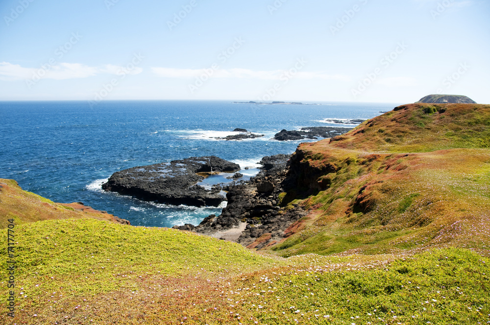 Phillip Island