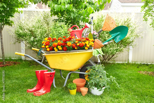 Fototapeta Naklejka Na Ścianę i Meble -  Garden tools