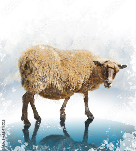 Wallpaper Mural Watercolor Image Of Sheep Torontodigital.ca