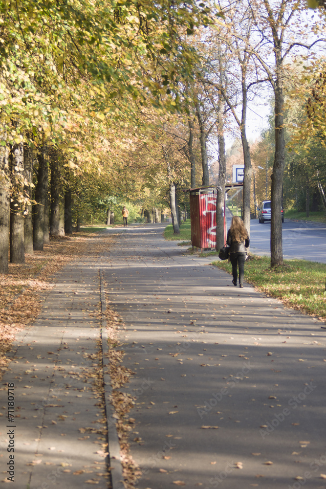 Jesień w parku Jesień w parku