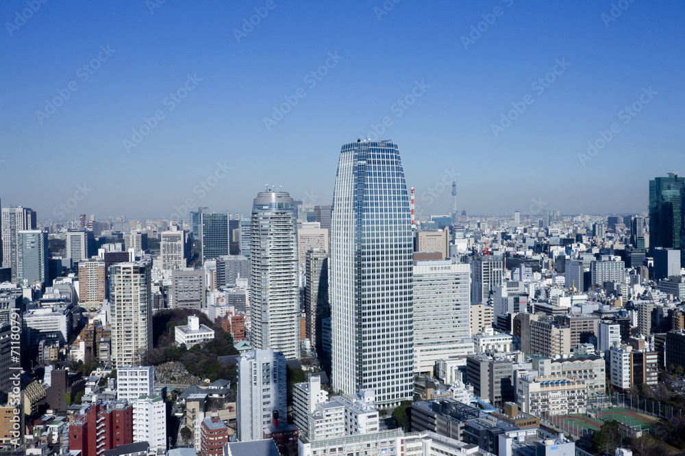 Obraz premium 東京タワーからの展望