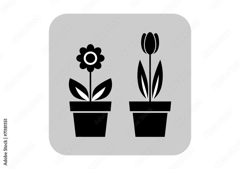 Flower vector icon Flower vector icon