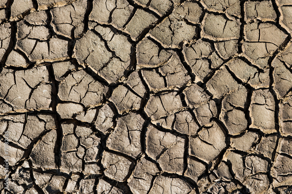 Natural texture. Closeup of wet cracked ground Natural texture. Closeup of wet cracked ground