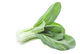chinese cabbage isolated on white background