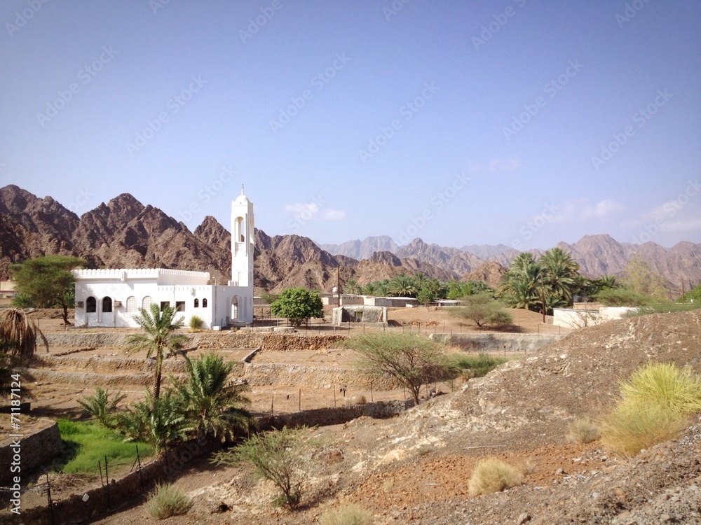 Fototapeta premium mosque in the mountains of dubai