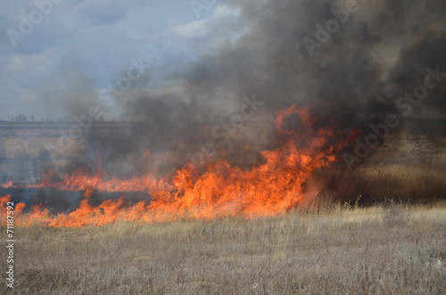 Fire in the field © mihakonceptcorn