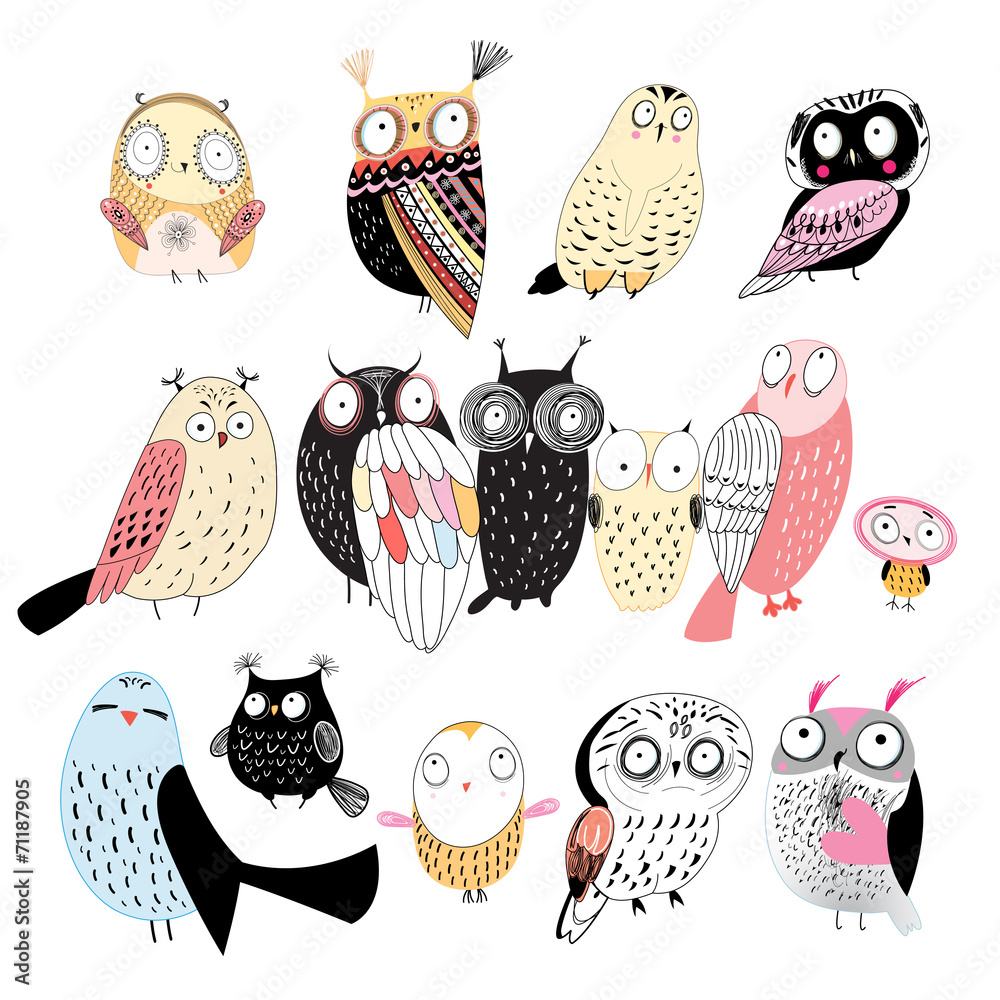 Obraz premium set of different owls