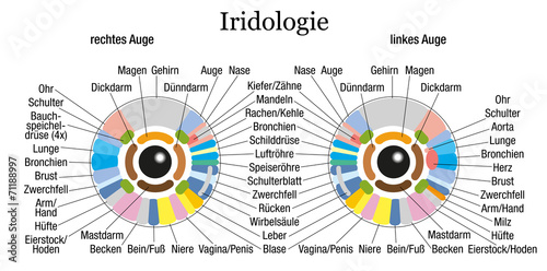 Iridology Chart German White