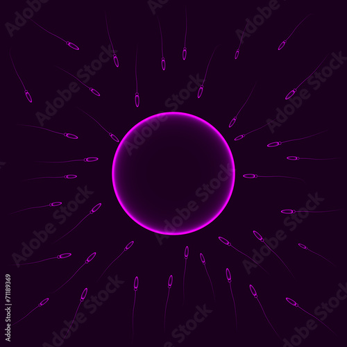 Natural insemination: sperm fertilizing egg cell, vector purple