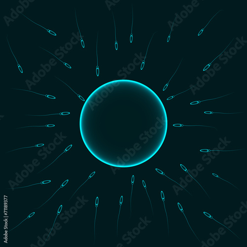 Slika na platnu Natural insemination: sperm fertilizing egg cell, vector blue