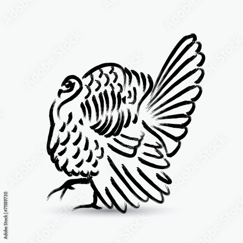 Painted turkey bird