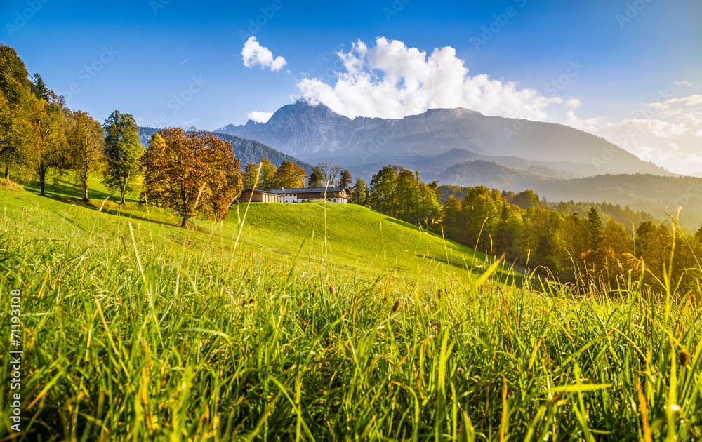 Beautiful autumn landscape in the Alps