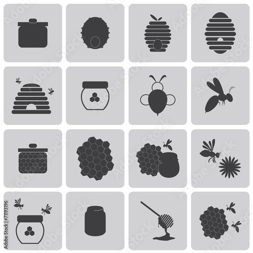 Honey Bee Black icons set2. Vector Illustration eps10
