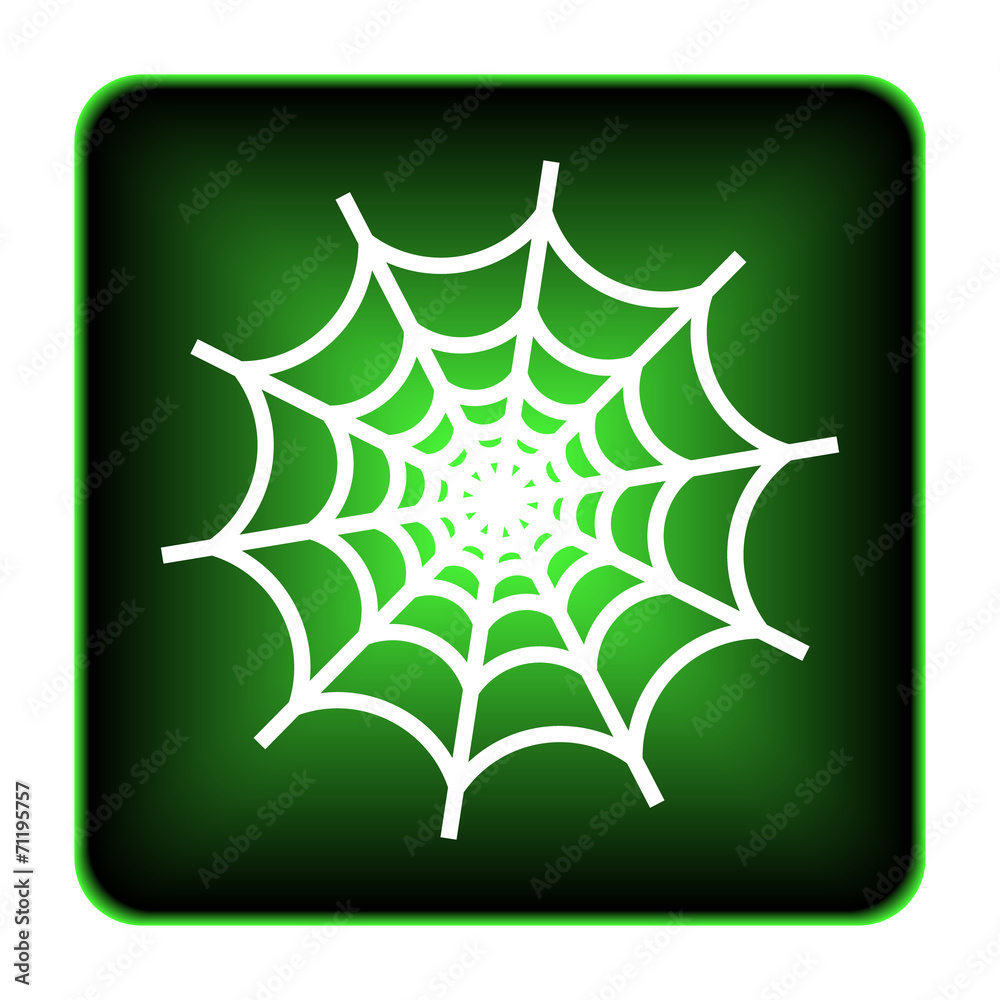 Spider web icon Spider web icon