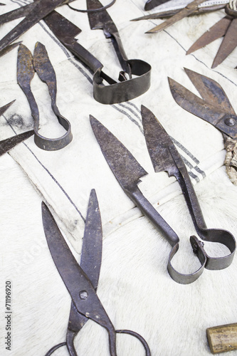 Фотография Scissors for cutting wool