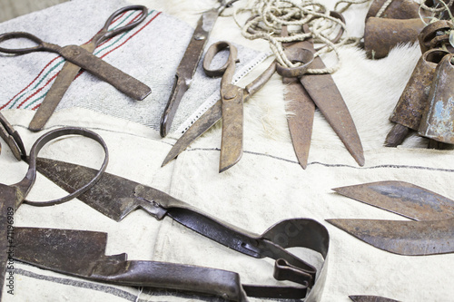 Fotografie Old wool Scissors