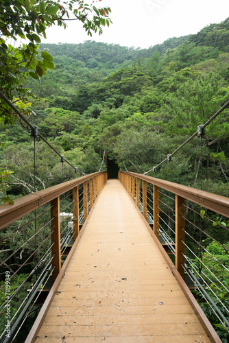 森林の吊り橋・比地大滝へ © yuuta