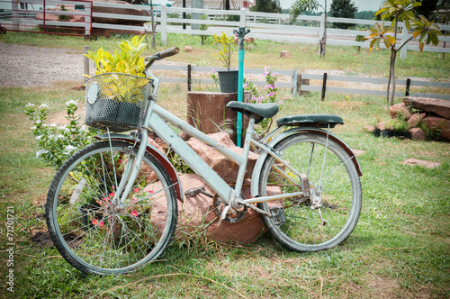 Model of an old bicycle equipped with basket of plants / Bicycle
