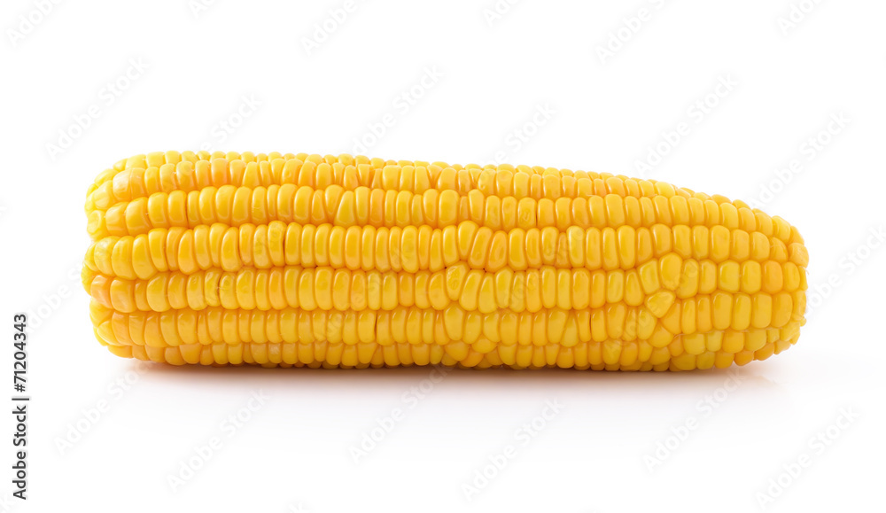 corn on a white background corn on a white background