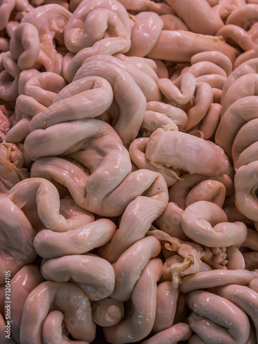 Obraz na plátně Raw pork intestines in market,Thailand market.