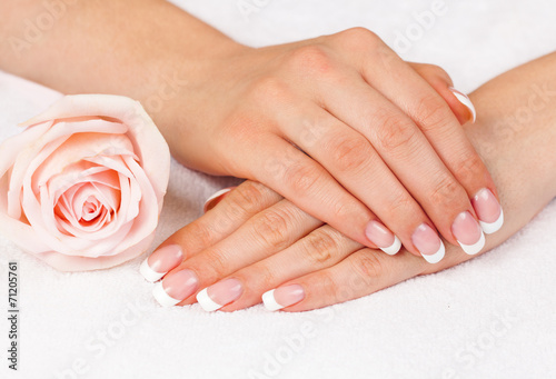 Beautiful woman s hands with perfect french manicure near rose