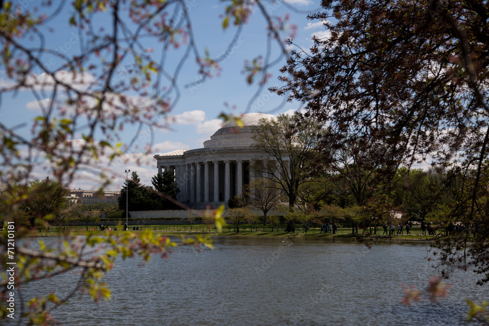Obraz premium Jefferson Memorial