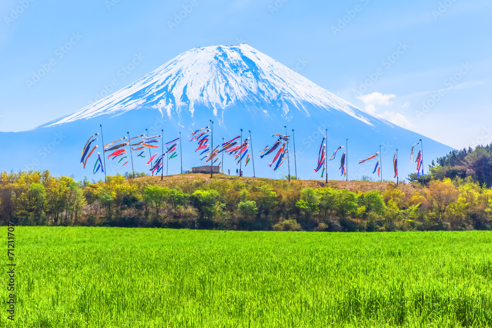 Fototapeta premium Colorful carp banners and Mount Fuji