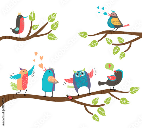 Set of colorful cartoon birds on branches