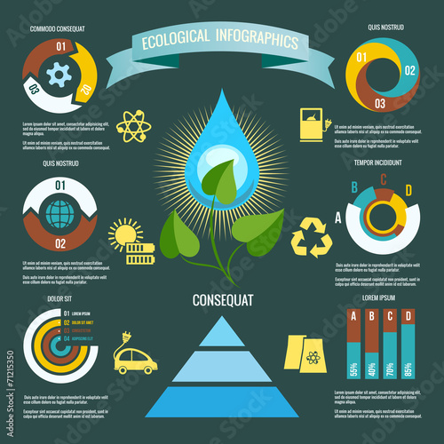 Ecology Infographic