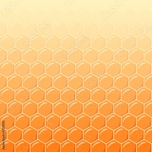 Honeycomb as vector background