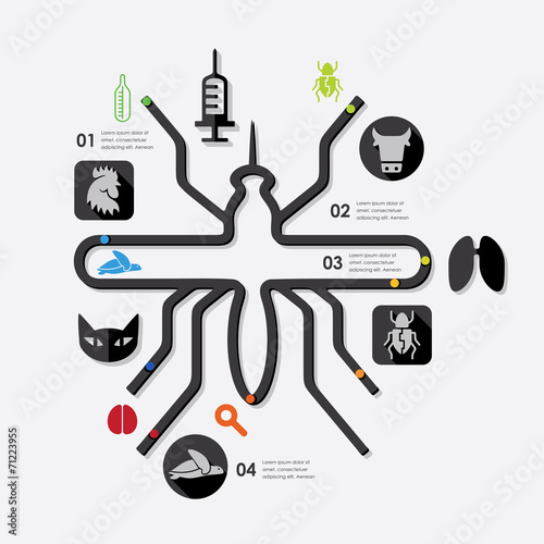 veterinary infographic