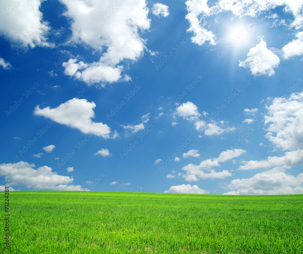 Obraz premium landscape