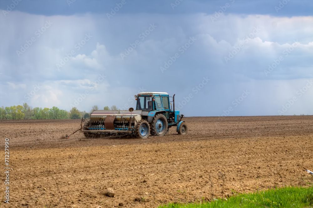 Obraz premium Seeding the field
