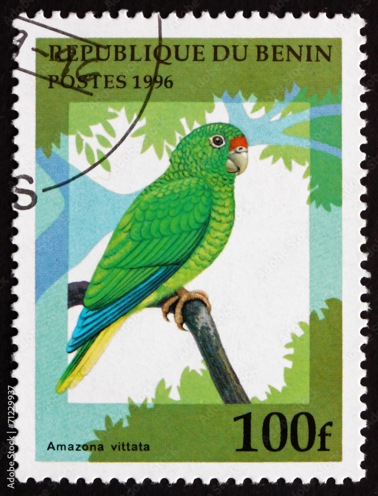 Obraz premium Postage stamp Benin 1996 Puerto Rican Amazon, Bird