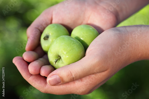 Hands holding green apples