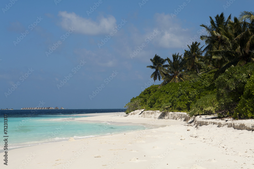 tropical island palm sea and sky