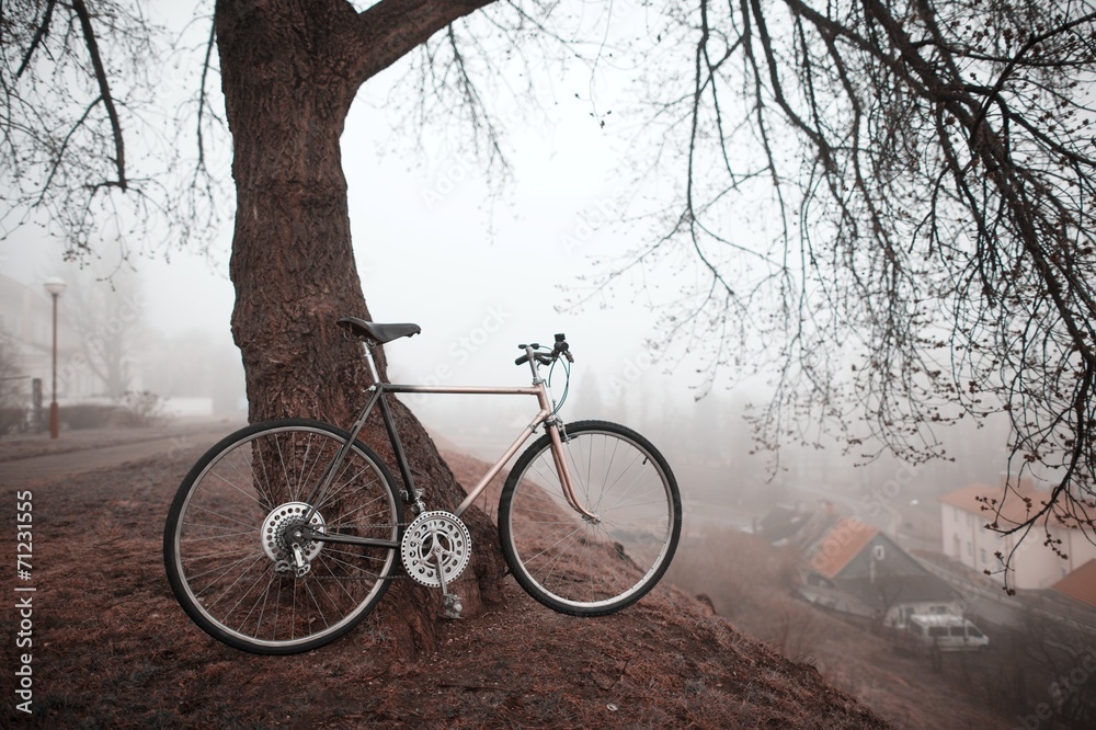 old bike near the tree