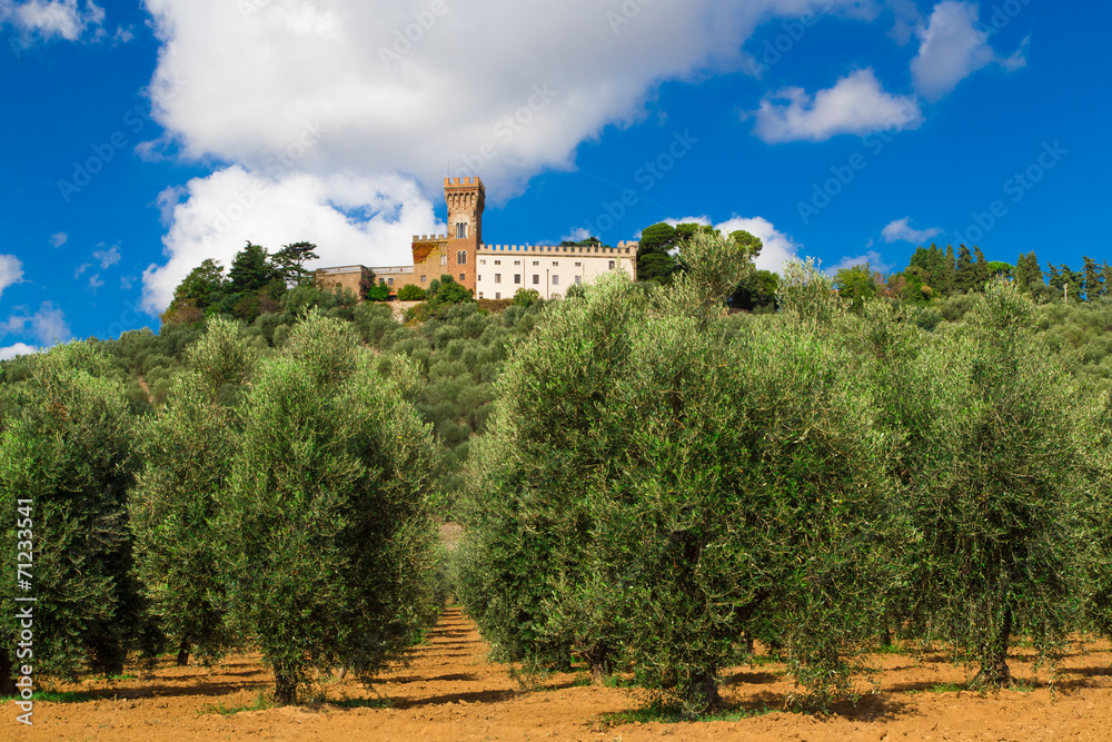 View of Magona castle from an olive grove, Grosseto Italy