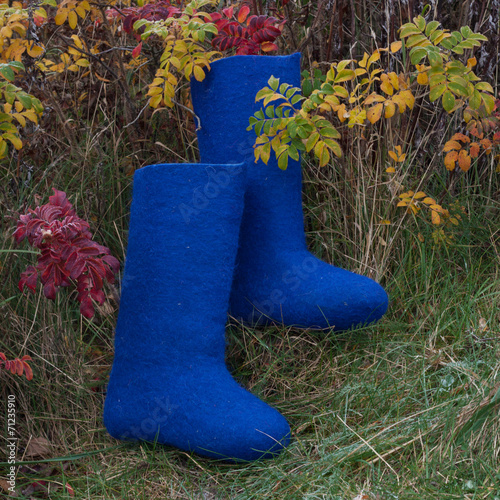 valenki - russian felt boots
