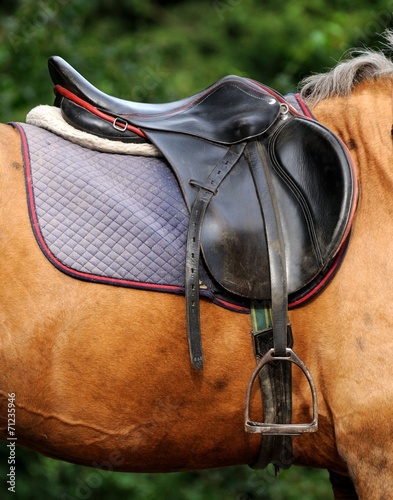 Close up of horse saddle.