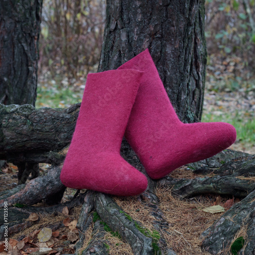 valenki - russian felt boots