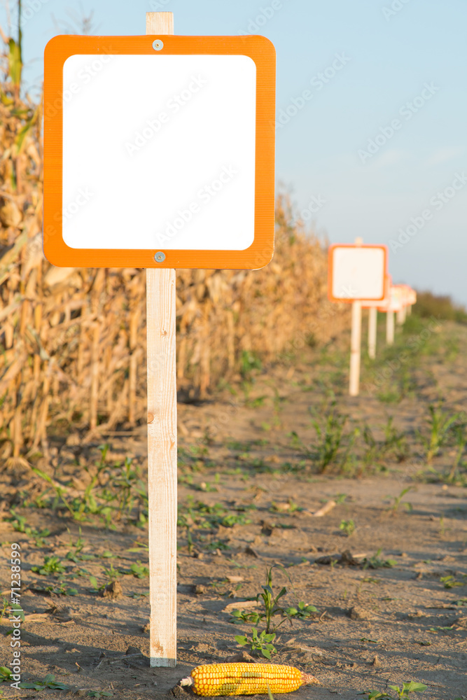 Blank sign next to corn maize field, agricultural concept