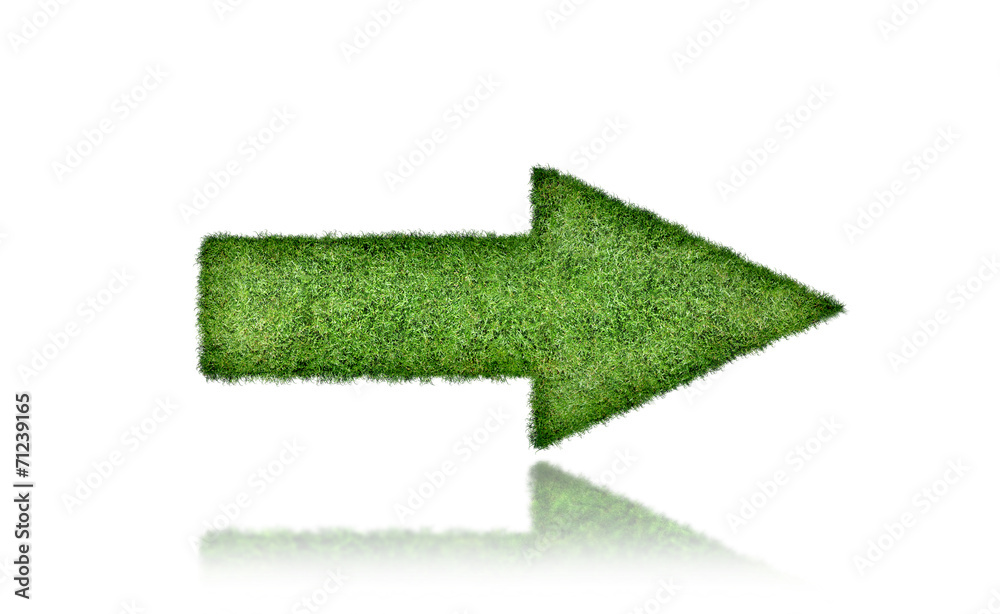 Obraz premium green grass arrow