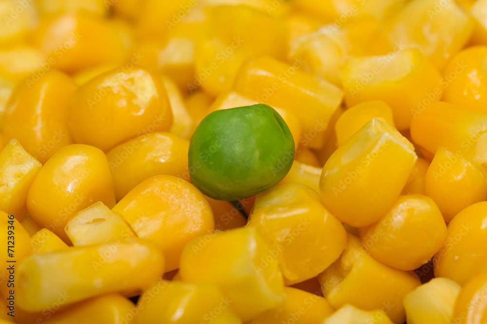 Steamed Organic Vegetable Medly with Pea and Corn Steamed Organic Vegetable Medly with Pea and Corn