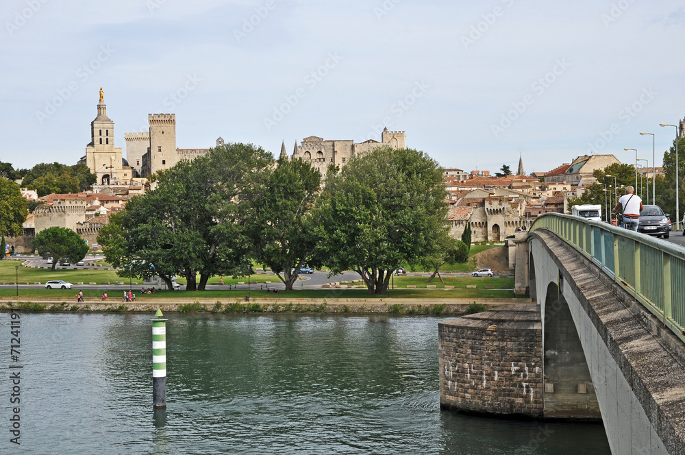 Avignone, la citta' vecchia dal Rodano
