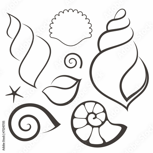 Shell. Set